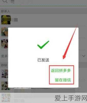 绝区零新角色见雅，星辉战斗艺术全揭秘，技能细节震撼登场