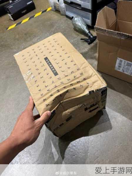 绝版箱子:探索绝版箱子的神秘世界与无限可能性