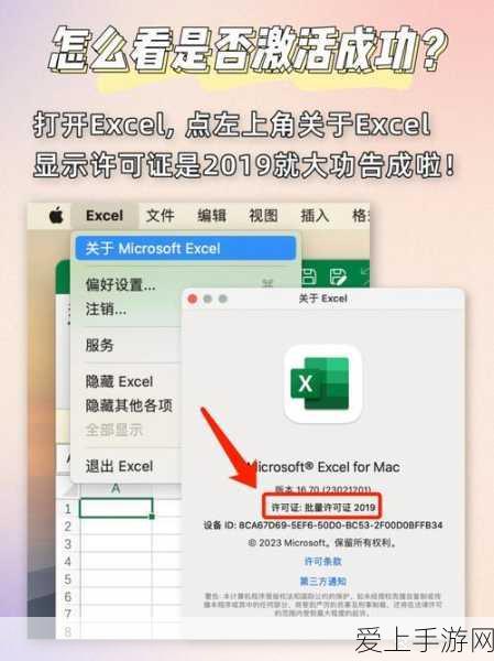 海岛情缘深度攻略，解锁和平精英海岛第一深情称号秘籍