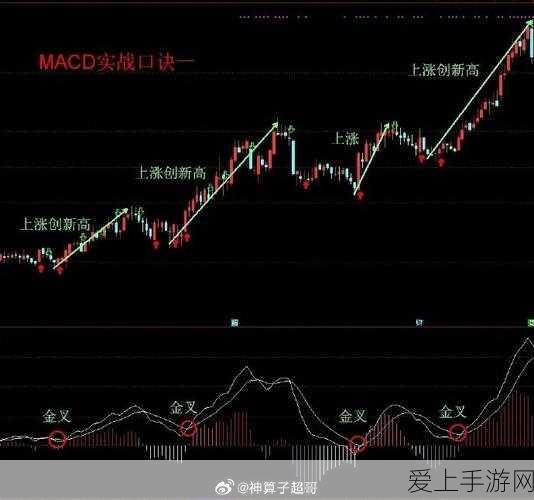 中国开源CPU崛起，硅谷大V惊叹，为何最强在此诞生？