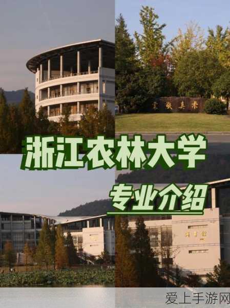 宝可梦大探险，揭秘超音蝠的进化之旅及战斗策略