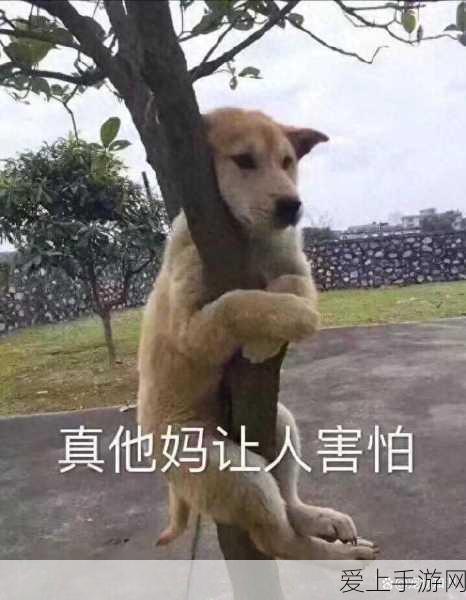 第五人格深度解析，求生者与监管者人格天赋全面革新，竞技策略再升级！