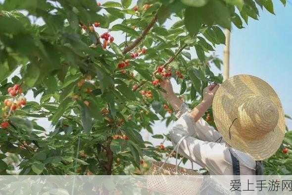 闪亮之名醺夜恣情拍照礼包，限时上线详情及惊喜价格揭秘