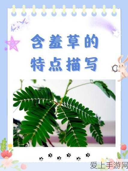 红魔10 Pro系列震撼发布，专为手游玩家打造的极致性能怪兽