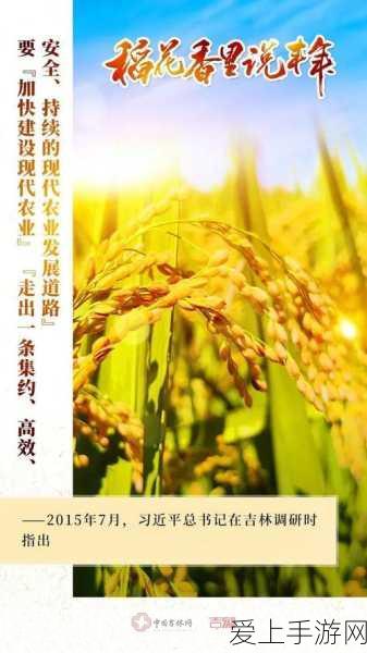 神仙道攻略大揭秘，深度剖析强攻策略与仙令高效获取途径