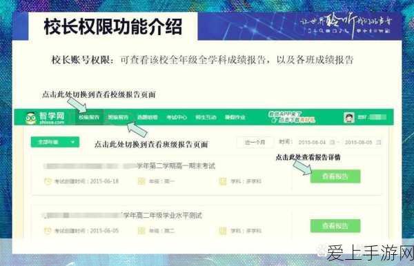 崩坏3愚者牌揭秘，深度玩法解析与实战技巧大公开