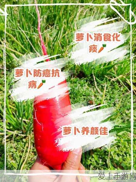 星战前夜:无烬星河闪耀拉斯维加斯，EVE Vegas盛况空前！