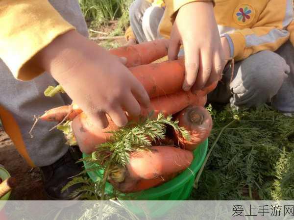 武林闲侠海沙派无敌阵容搭配秘籍