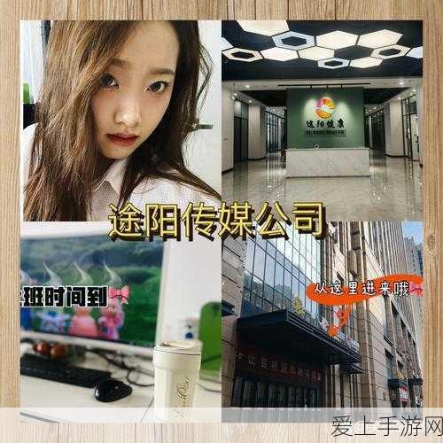 炉石传说新卡大揭秘，砰砰计划德鲁伊牛头人园丁实战深度剖析