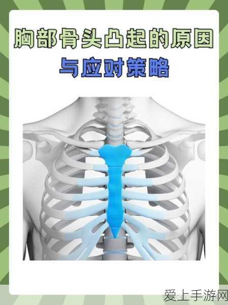 原神平台兑换码大放送！独家揭秘最新奖励清单