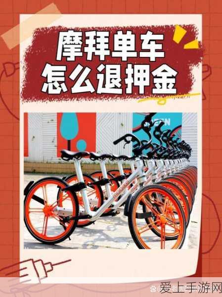 手游摄影秘籍，无声捕捉LivePhoto的绝妙技巧