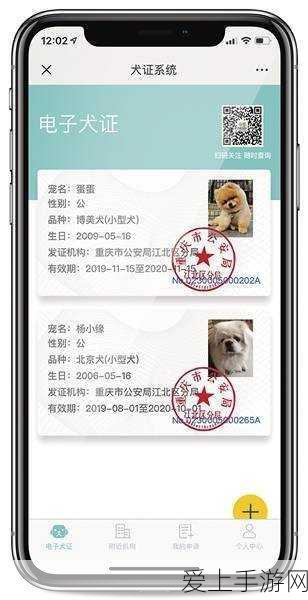 解锁原神枫丹秘境，详尽钓鱼任务攻略与隐藏宝藏揭秘