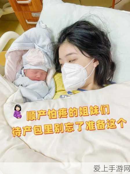 甘雨圣遗物搭配秘籍，实力登顶的关键抉择
