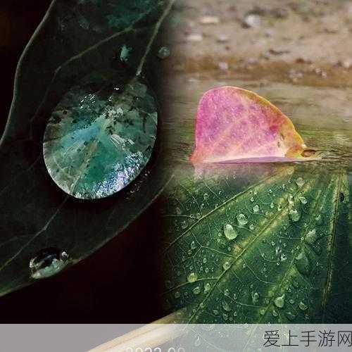 诛仙世界，代币获取秘籍大公开
