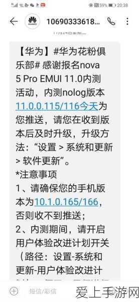 艾尔登法环，四大武器升级攻略，解锁战斗新境界
