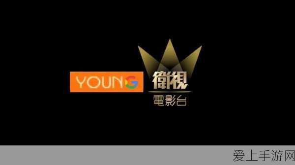 PPT 制作秘籍，步骤与分工全解析
