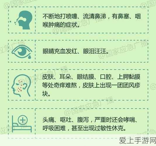 我的勇者战士武器精选指南，打造无敌战士的必备利器