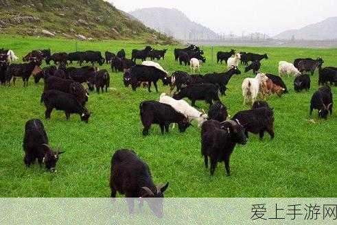 微信鸿蒙原生版内测火爆开启，用户争相体验全新生态