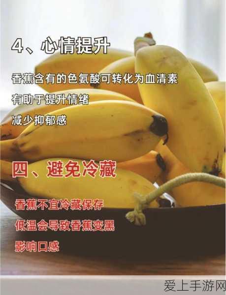 刺客信条全新变革，现代叙事强化，历史现实紧密交织
