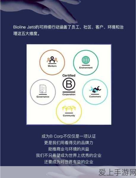 国产精华液一线二线三线:国产精华液市场一线、二线与三线品牌全面分析与对比
