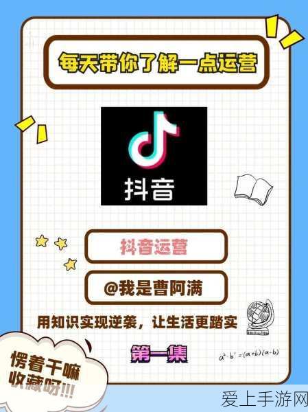 梦幻西游手游，揭秘毛小球实力与获取攻略，打造你的萌宠战队！