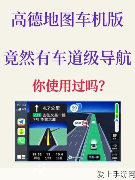 梦幻西游手游，揭秘毛小球实力与获取攻略，打造你的萌宠战队！