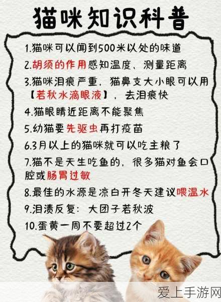 王者荣耀S20赛季战令倒计时，终极奖励冲刺攻略全解析