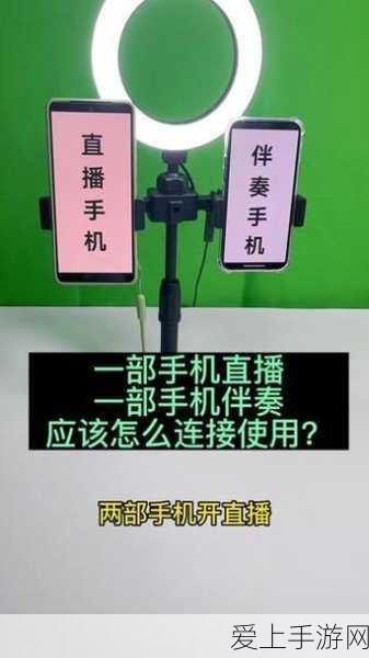 万箭齐发，萌新开荒秘籍大揭秘