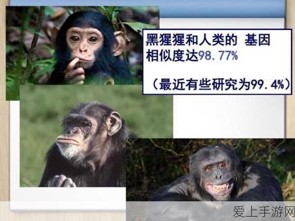 手游新技能曝光，StableDiffusion助你一键移除图片多余元素！