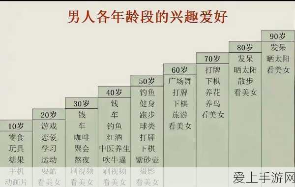 FGO新宿隐藏Free本攻略，揭秘进入方法，资源管理策略助你轻松通关