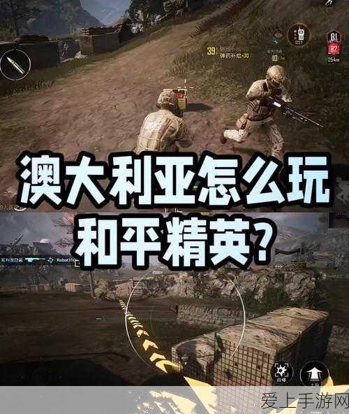手游玩家必看，如何提升游戏内字幕体验，打造极致观影感？