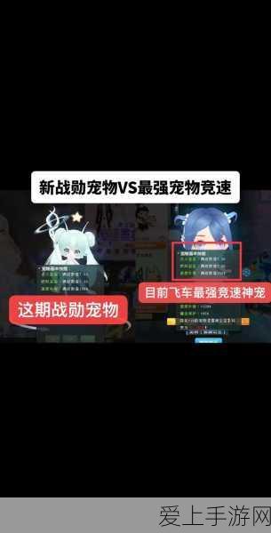 原神雷鸣仙钓鱼大赛全攻略，珍稀鱼类出没地点与时间大揭秘，赢取限定奖励！