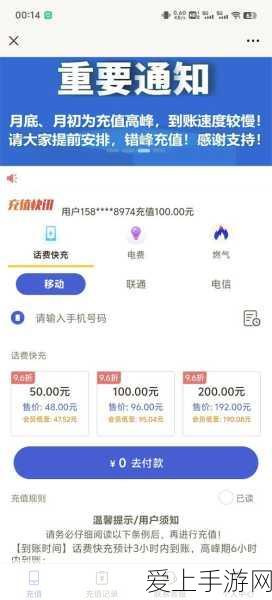 梦幻西游无双版，狐狸精角色竞技搭配深度剖析与实战技巧