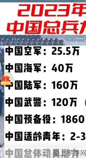 王者荣耀 S 赛季，射手位制霸战场的六大关键秘籍
