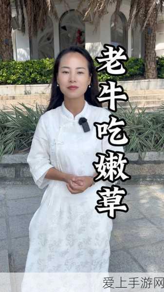 手游技术革新，超宽禁带氧化镓晶相异质结研究引领未来游戏性能飞跃