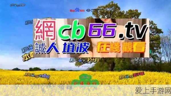 炉石传说，冠军揭秘！护符火冲法卡组搭配与实战攻略