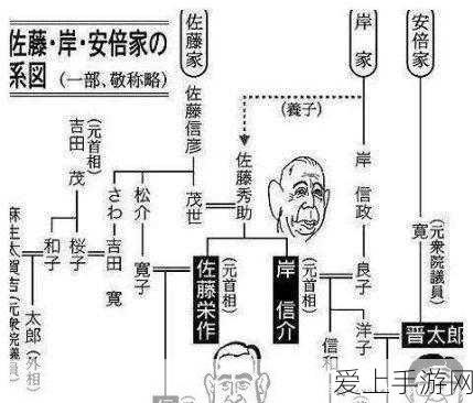 三国志贾诩传深度攻略，解锁智谋巅峰，征服乱世之路