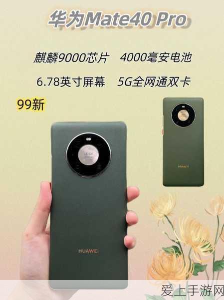 奥比岛探险指南，揭秘迷雾森林的奇幻之旅