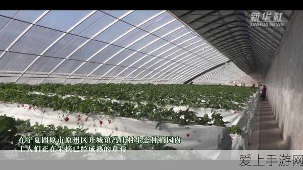 蛋仔派对奢华盛宴，揭秘最贵皮肤TOP10，珍稀度与价格齐飞！