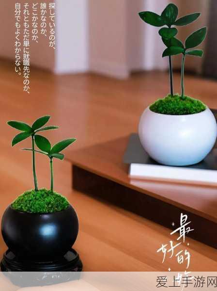 烟雨江湖手游，书香门第新手完美开局全攻略