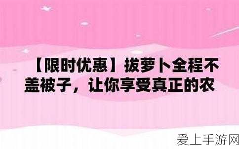 奇迹暖暖西面首宿高分搭配秘籍大揭秘