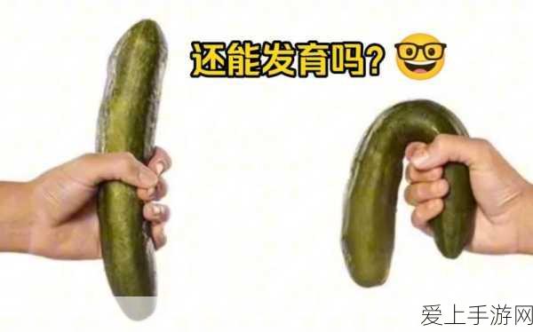 方舟生存进化，全地图 BOSS 及精美图片大揭秘
