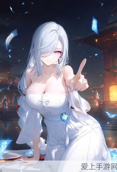 DNF辅助职业全解析，揭秘团队中的无名英雄