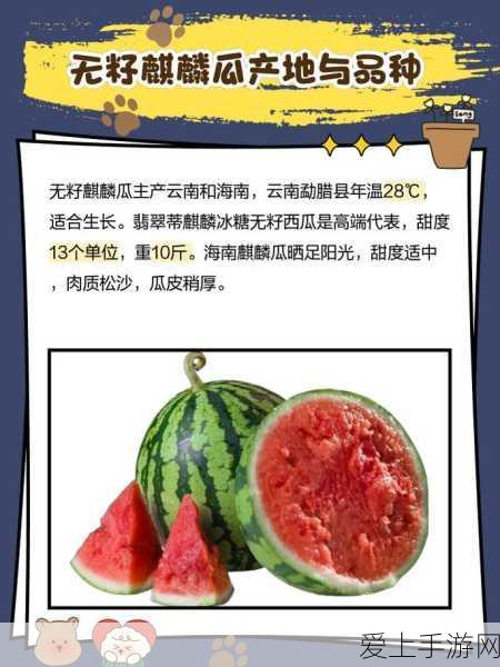 文明重启，雷达站物资搜寻攻略，揭秘隐藏宝藏位置