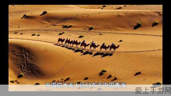 手游投资风向突变！对冲基金二季度大调整，英伟达成减持焦点