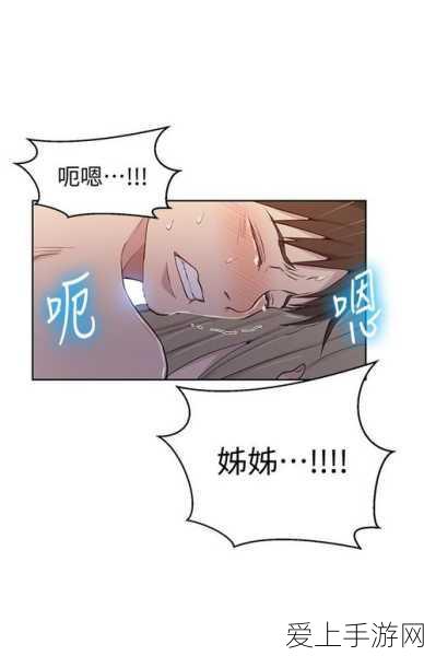 艾尔登法环 DLC 中守墓鸟骨灰的神秘获取之道