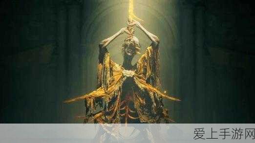 艾尔登法环 DLC 中守墓鸟骨灰的神秘获取之道