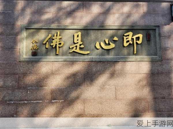怪物猎人世界冰原速升攻略，高效刷级技巧大揭秘