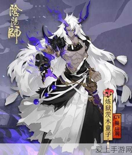 阴阳师孔雀明王 PVE 御魂搭配秘籍大公开