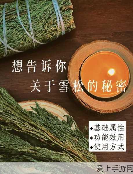 绝地求生，精准掌握倍镜测距技巧，制霸战场